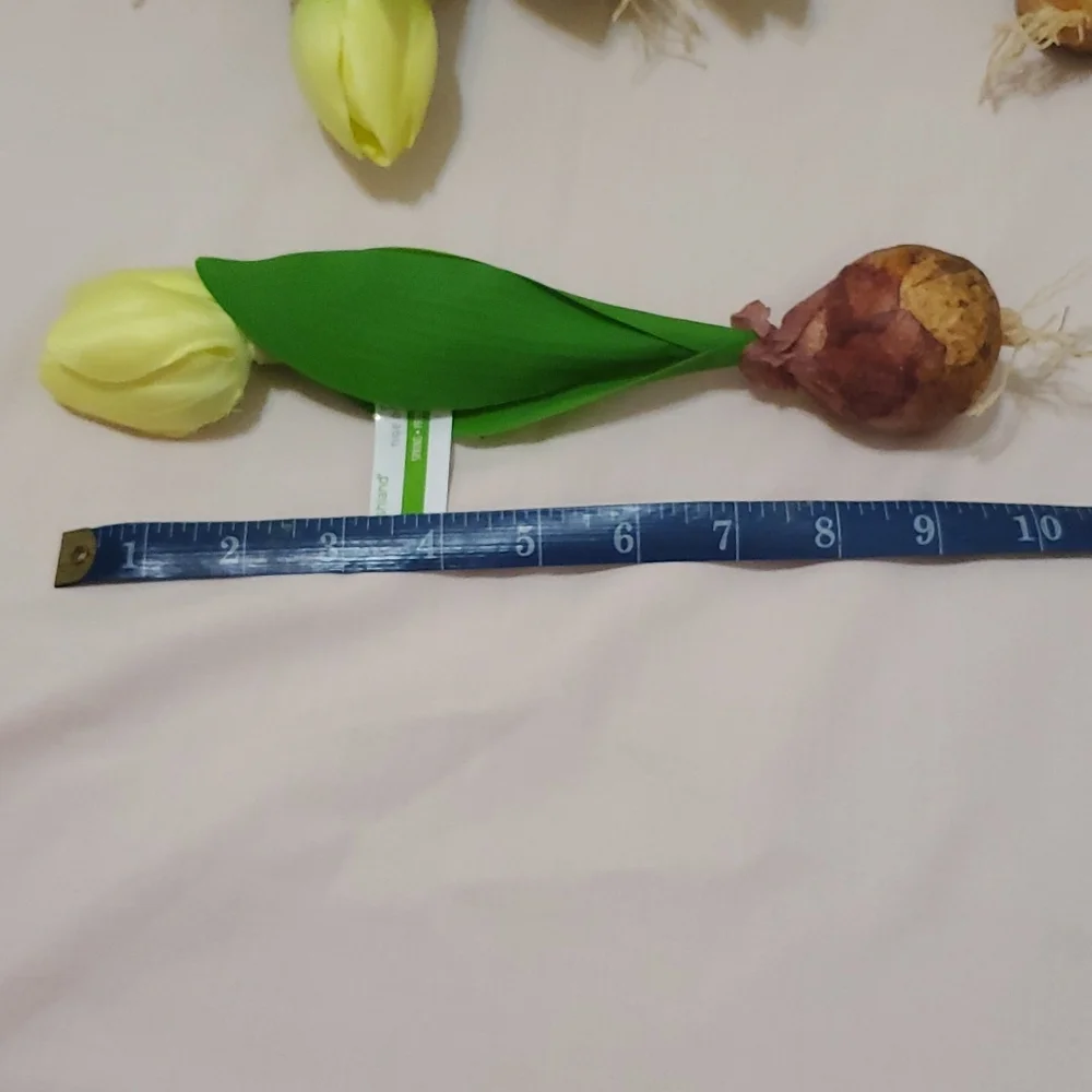 18 Faux Yellow Tulip Bulbs